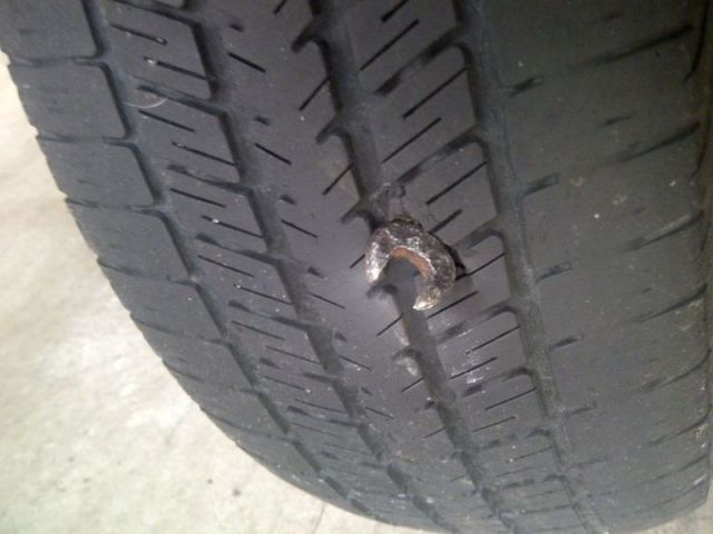 morning picdump 57 pics 33.html - 57 HD Photos | Premium Gallery 2012