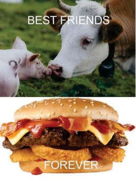 morning picdump 57 pics 33.html - 57 HD Photos | Premium Gallery 2012