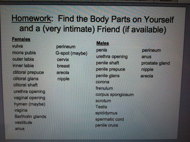 morning picdump 57 pics 33.html - 57 HD Photos | Premium Gallery 2012