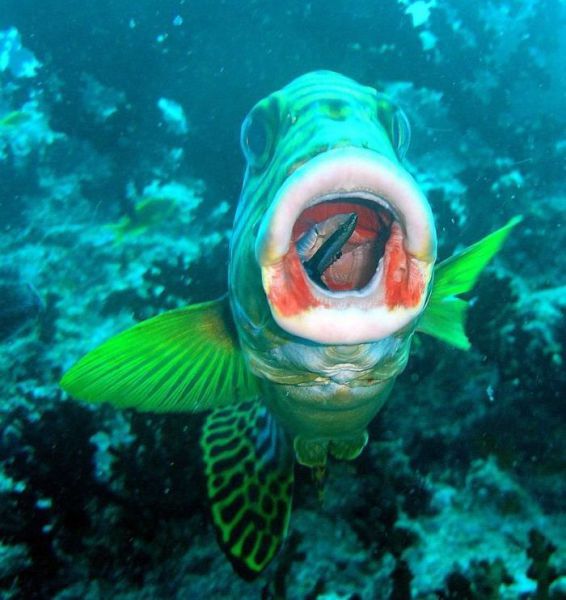 daily picdump weekend edition 103 pics 23.html - 103 HD Photos | Premium Gallery 2012