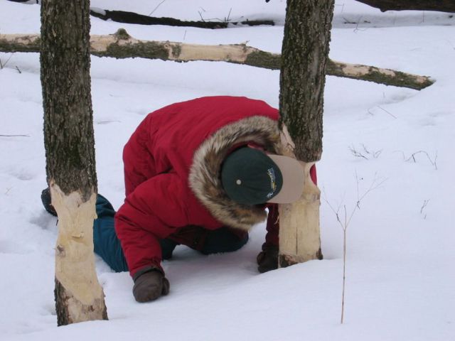 daily picdump weekend edition 103 pics 23.html - 103 HD Photos | Premium Gallery 2012