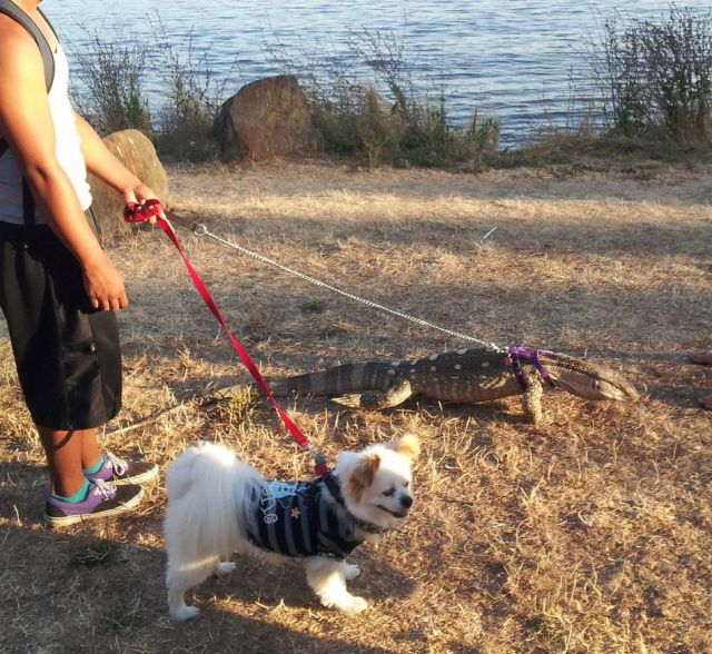 daily picdump weekend edition 103 pics 23.html - 103 HD Photos | Premium Gallery 2012