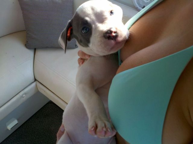 daily picdump weekend edition 103 pics 23.html - 103 HD Photos | Premium Gallery 2012