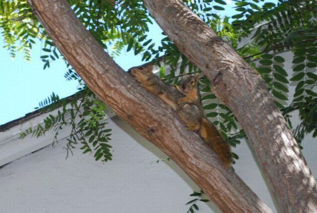 daily picdump weekend edition 103 pics 23.html - 103 HD Photos | Premium Gallery 2012