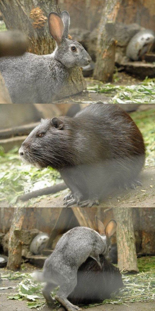 Daily Picdump [WEEKEND EDITION]