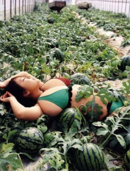 Meanwhile in the Land of Men’s Dreams