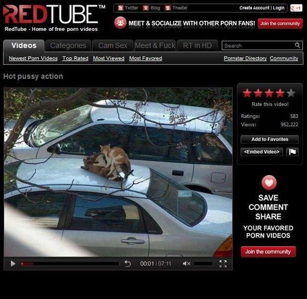 daily picdump 105 pics 31.html - 105 HD Photos | Premium Gallery 2012