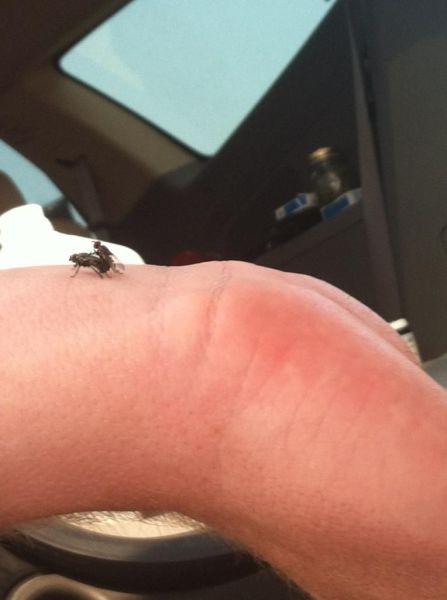 daily picdump 105 pics 31.html - 105 HD Photos | Premium Gallery 2012