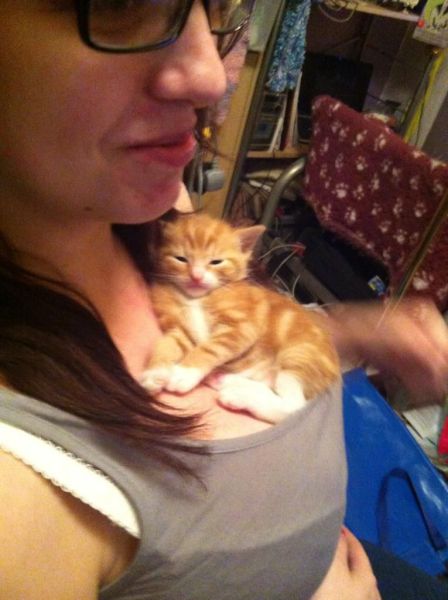 daily picdump 105 pics 31.html - 105 HD Photos | Premium Gallery 2012