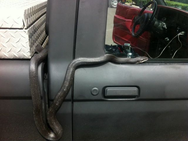 daily picdump 105 pics 31.html - 105 HD Photos | Premium Gallery 2012