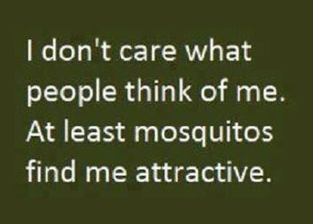 morning picdump 56 pics 56.html - 56 HD Photos | Premium Gallery 2012