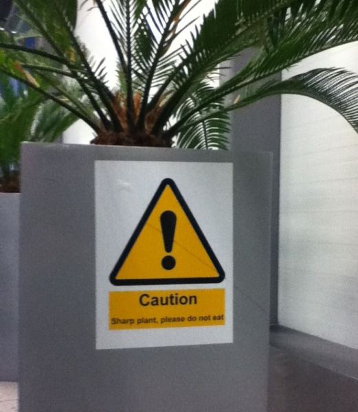 morning picdump 56 pics 56.html - 56 HD Photos | Premium Gallery 2012