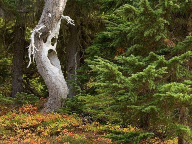 morning picdump 53 pics 18.html - 53 HD Photos | Premium Gallery 2012