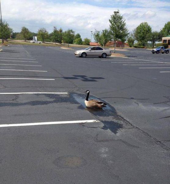 morning picdump 53 pics 18.html - 53 HD Photos | Premium Gallery 2012