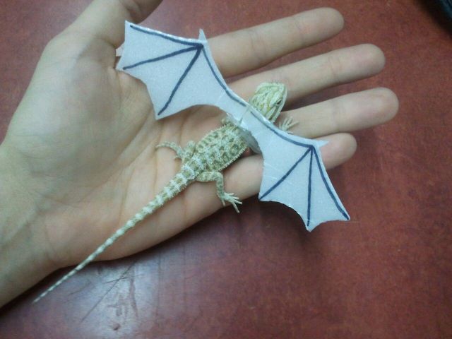 daily picdump 100 pics 41.html - 100 HD Photos | Premium Gallery 2012