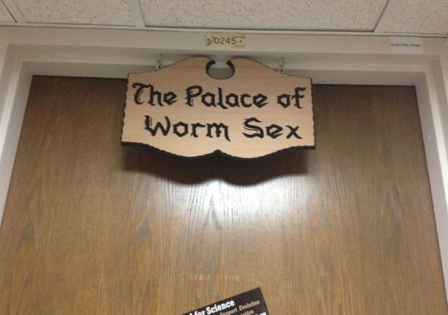 daily picdump 100 pics 41.html - 100 HD Photos | Premium Gallery 2012