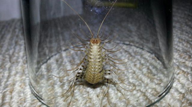 morning picdump 54 pics 54.html - 54 HD Photos | Premium Gallery 2012