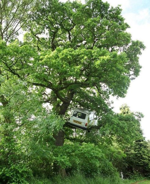 morning picdump 54 pics 54.html - 54 HD Photos | Premium Gallery 2012