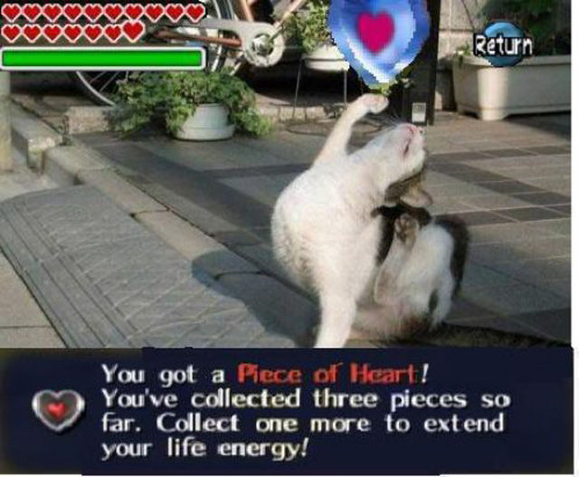 That Funny World of Gaming