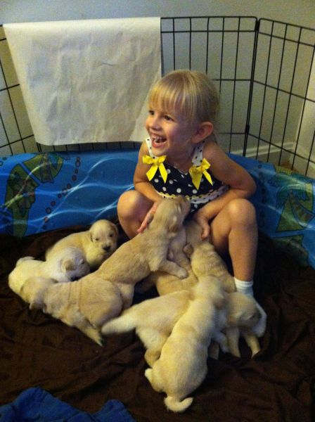 daily picdump 101 pics 40.html - 101 HD Photos | Premium Gallery 2012