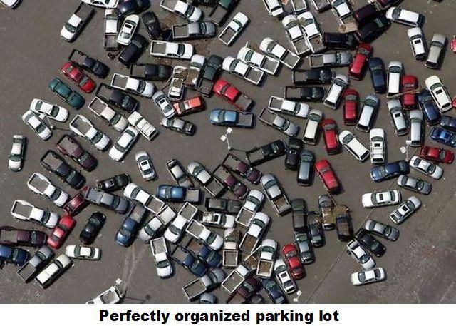 daily picdump 101 pics 40.html - 101 HD Photos | Premium Gallery 2012