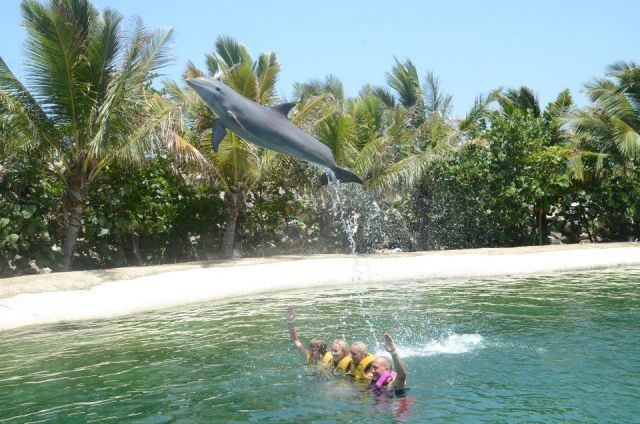 daily picdump 101 pics 40.html - 101 HD Photos | Premium Gallery 2012