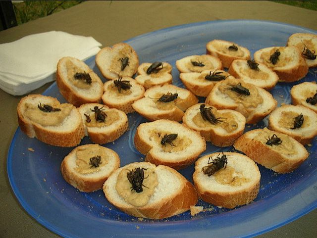 daily picdump 101 pics 40.html - 101 HD Photos | Premium Gallery 2012