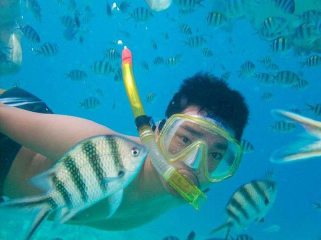 daily picdump 101 pics 40.html - 101 HD Photos | Premium Gallery 2012