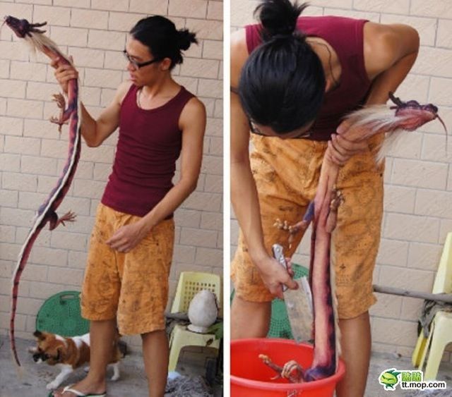 morning picdump 54 pics 49.html - 54 HD Photos | Premium Gallery 2012