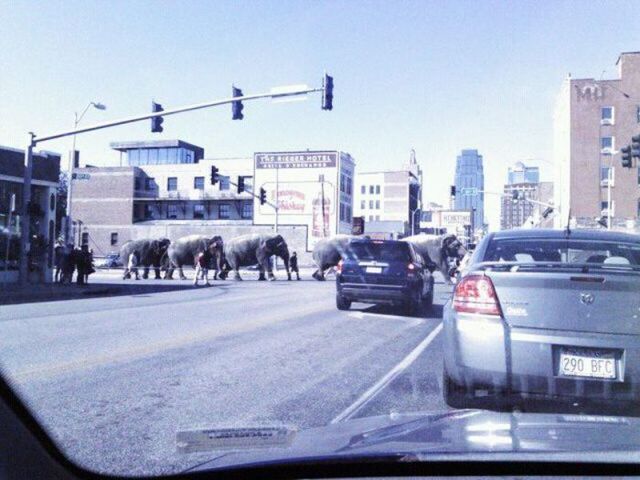 morning picdump 54 pics 49.html - 54 HD Photos | Premium Gallery 2012