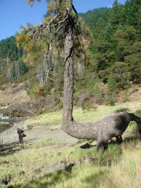 morning picdump 54 pics 49.html - 54 HD Photos | Premium Gallery 2012