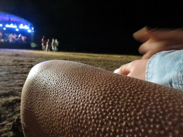 daily picdump 106 pics 15.html - 106 HD Photos | Premium Gallery 2012