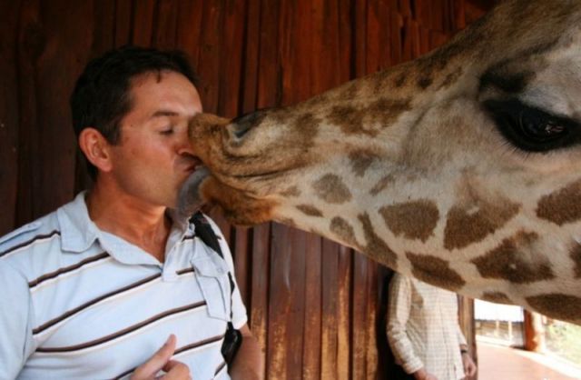 daily picdump 106 pics 15.html - 106 HD Photos | Premium Gallery 2012