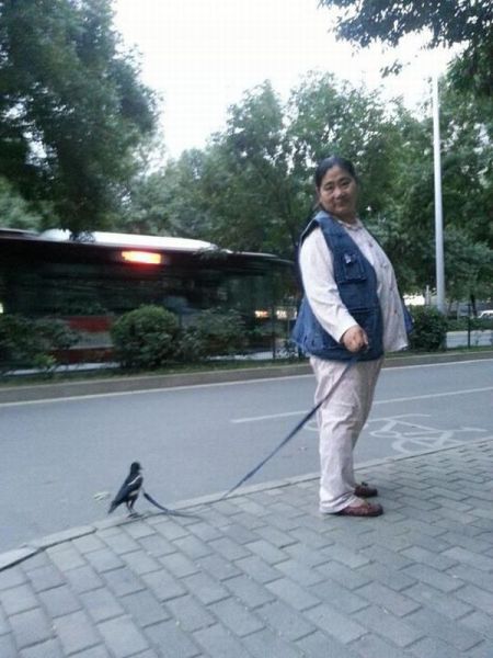 daily picdump 106 pics 15.html - 106 HD Photos | Premium Gallery 2012