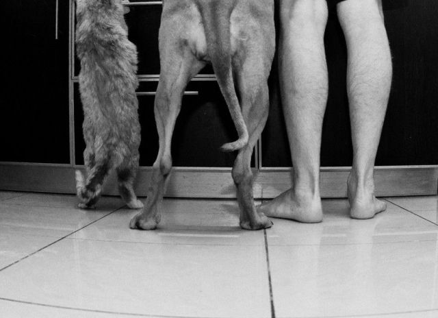 daily picdump 106 pics 15.html - 106 HD Photos | Premium Gallery 2012