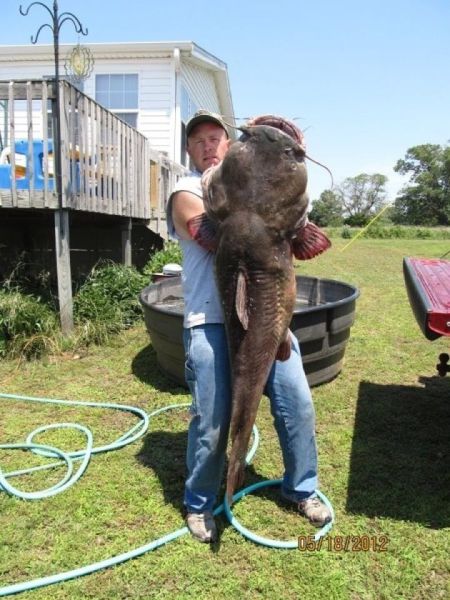 morning picdump 53 pics 3.html - 53 HD Photos | Premium Gallery 2012