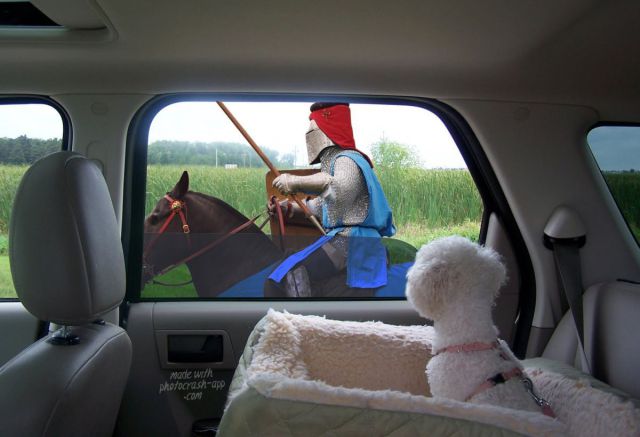 morning picdump 53 pics 3.html - 53 HD Photos | Premium Gallery 2012