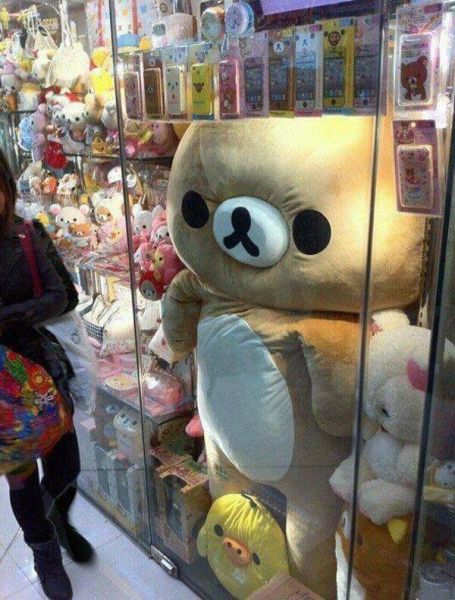 morning picdump 53 pics 3.html - 53 HD Photos | Premium Gallery 2012