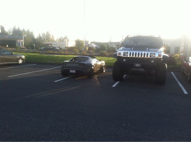 morning picdump 53 pics 3.html - 53 HD Photos | Premium Gallery 2012