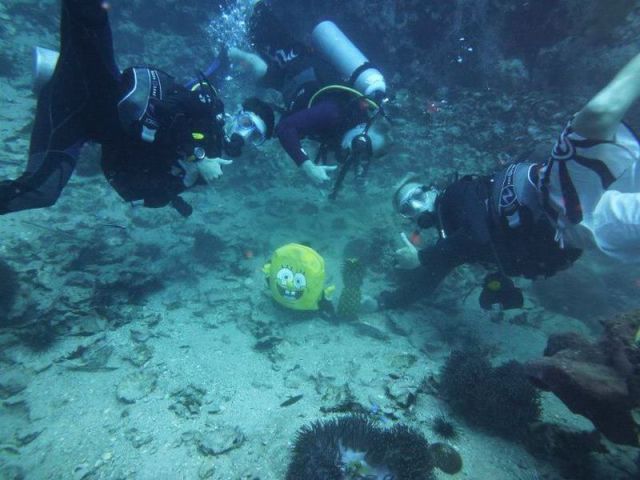 morning picdump 53 pics 3.html - 53 HD Photos | Premium Gallery 2012