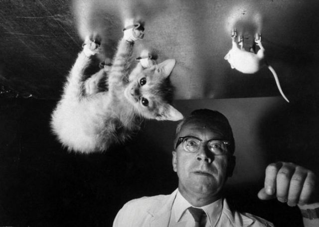 Remember the Times...