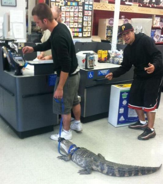 morning picdump 54 pics 41.html - 54 HD Photos | Premium Gallery 2012