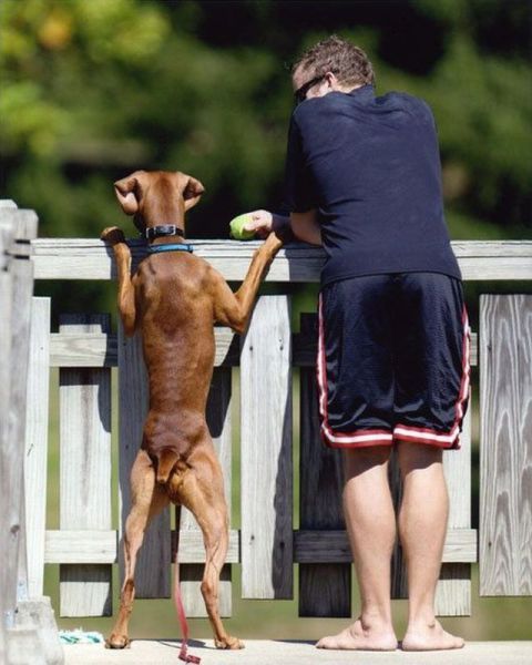 morning picdump 54 pics 41.html - 54 HD Photos | Premium Gallery 2012