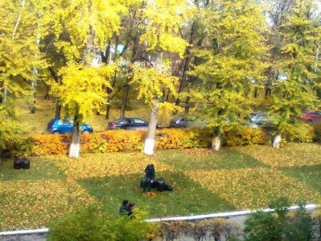 morning picdump 54 pics 2.html - 54 HD Photos | Premium Gallery 2012