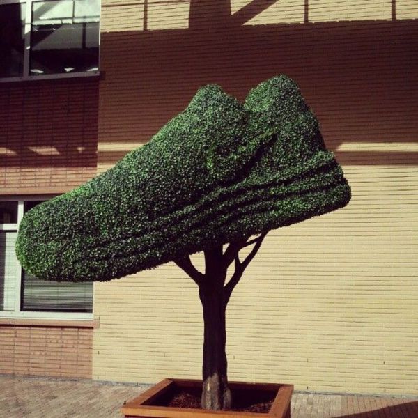 morning picdump 54 pics 2.html - 54 HD Photos | Premium Gallery 2012