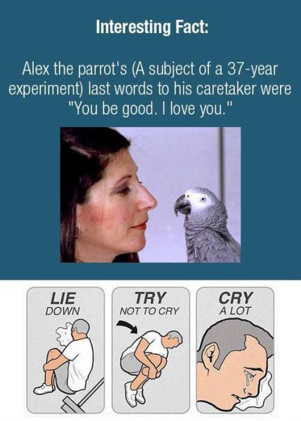 morning picdump 57 pics 55.html - 57 HD Photos | Premium Gallery 2012