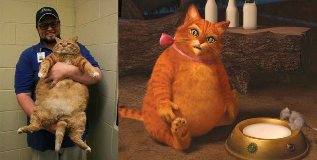 morning picdump 57 pics 55.html - 57 HD Photos | Premium Gallery 2012