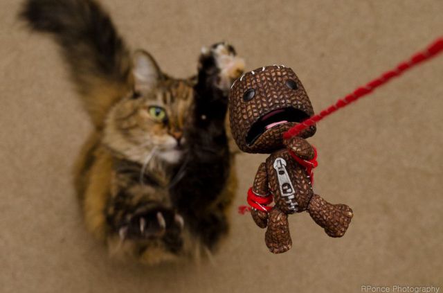 morning picdump 57 pics 55.html - 57 HD Photos | Premium Gallery 2012