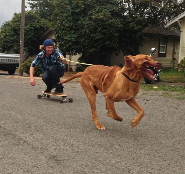 morning picdump 57 pics 55.html - 57 HD Photos | Premium Gallery 2012