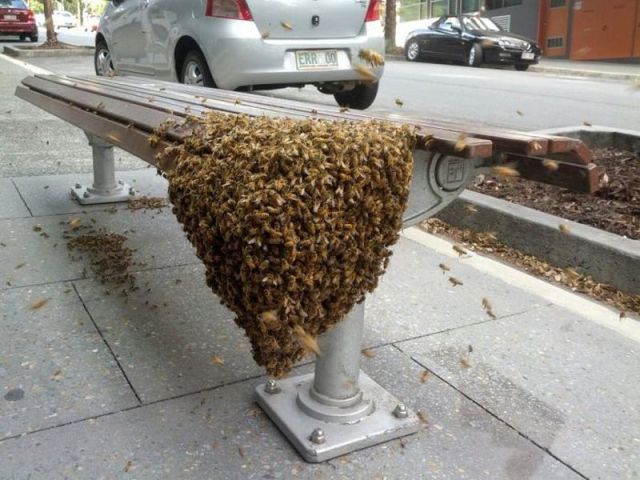 Morning Picdump